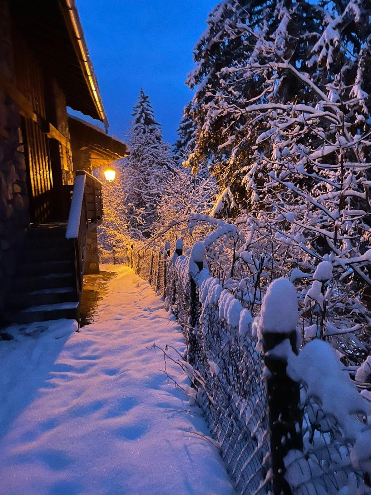 Chalet Les Avernes - Champagny En Vanoise, Domaine La Plagne Paradiski Εξωτερικό φωτογραφία
