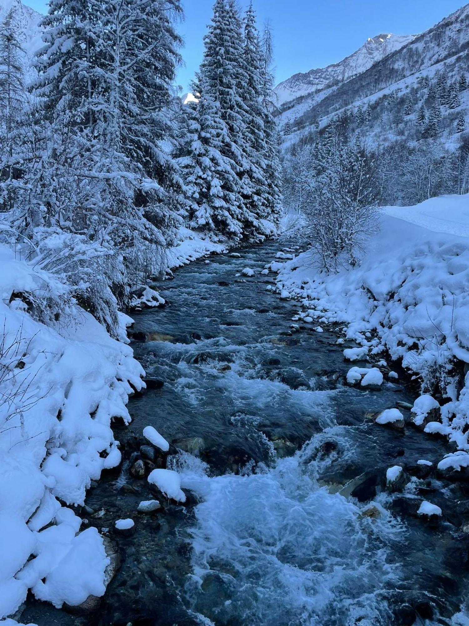 Chalet Les Avernes - Champagny En Vanoise, Domaine La Plagne Paradiski Εξωτερικό φωτογραφία
